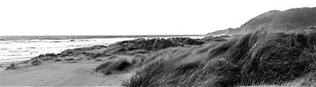 Manzanita Dunes
