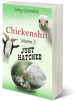 Chickenshit — Volume 2