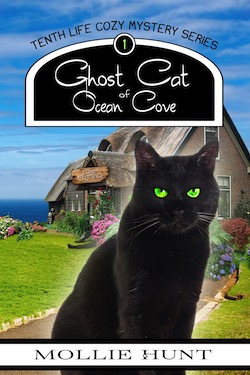 The Ghost Cat of Ocean Cove